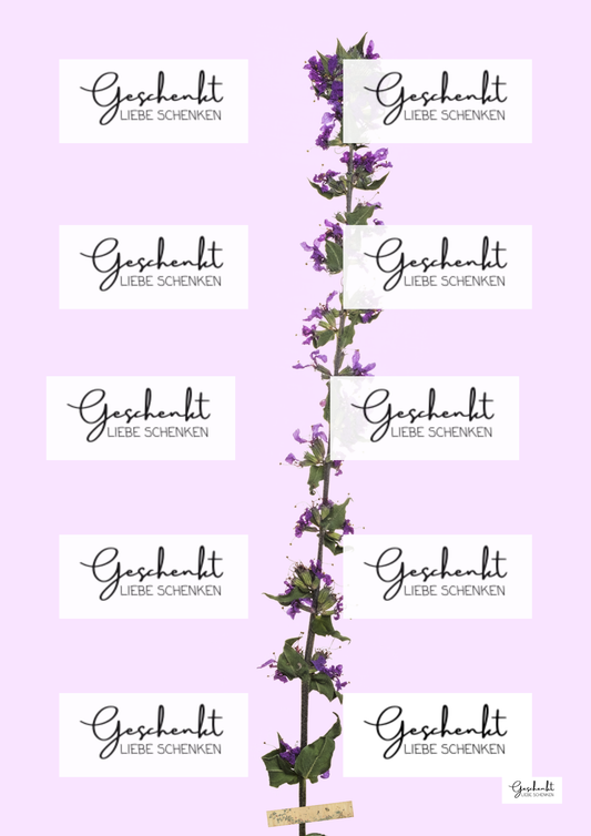 Lavender Designer Paper